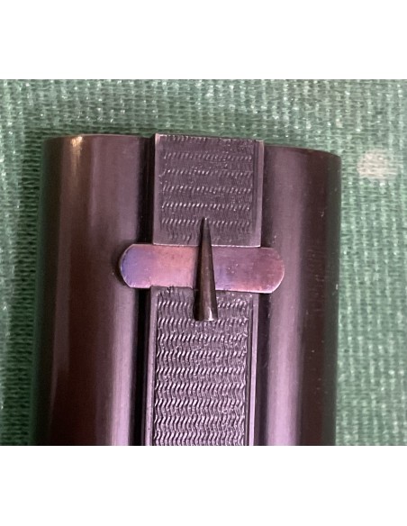 W.R. Pipe cal. 500 nitro express incisa