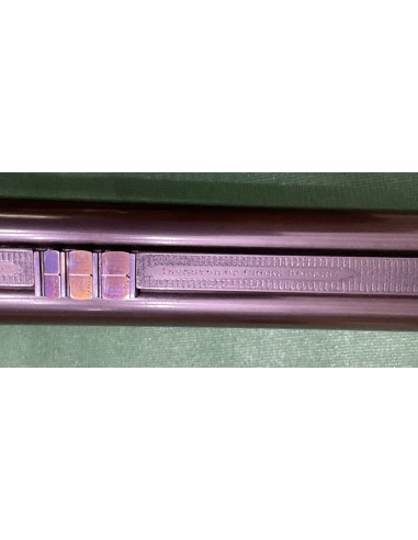 W.R. Pipe cal. 500 nitro express incisa