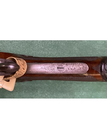 W.R. Pipe cal. 500 nitro express incisa