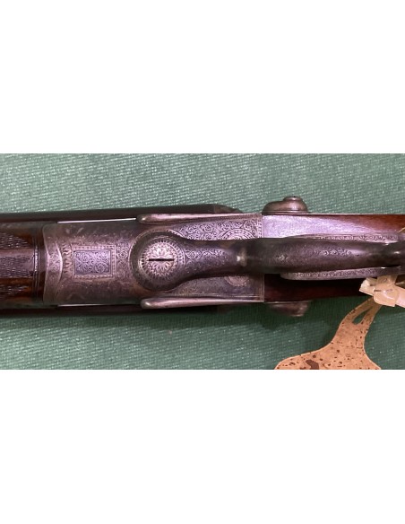 W.R. Pipe cal. 500 nitro express incisa