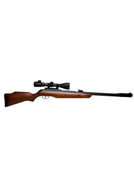 GAMO CARABINA ARIA COMPRESSA LIBERA VENDITA BIG MODELLO ROYAL IN LEGNO CANNA FISSA CON OTTICA 3-9X42 E ANELLI