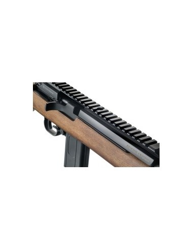 CARABINA CHIAPPA FIREARMS BUSHRANGER .22LR 18.5"