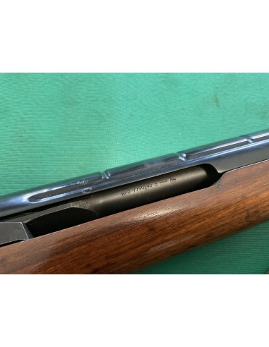 Harrington e Richardson M14 calibro 308win