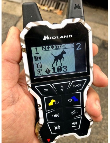 Midland Beeper One Pro GPS  BEEPER ONE GPS  Midland Kit Beeper One GPS Beeper One GPS - Localizzatore per Cani 2,5 Km