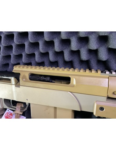 Carabina Haenel RS-9 G29 Fde calibro 338 LM