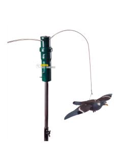 PG01 Marca: ARMERIA LUGLI GIOSTRA PER COLOMBACCI 136,00 €