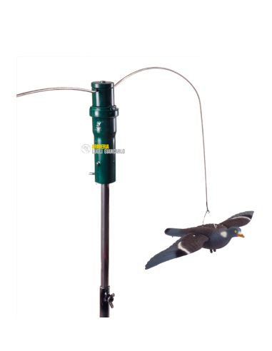 PG01 Marca: ARMERIA LUGLI GIOSTRA PER COLOMBACCI 136,00 €