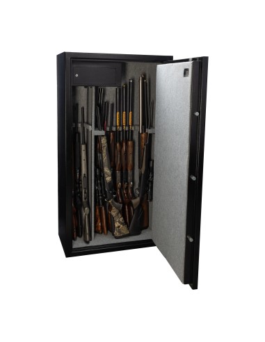 CASSAFORTE BASTION 17 GUNS