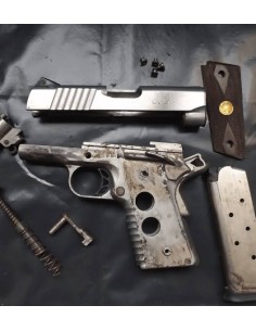 Disattivazione armi corte semiautomatiche revolver fucili da caccia ex ordinanze 2
