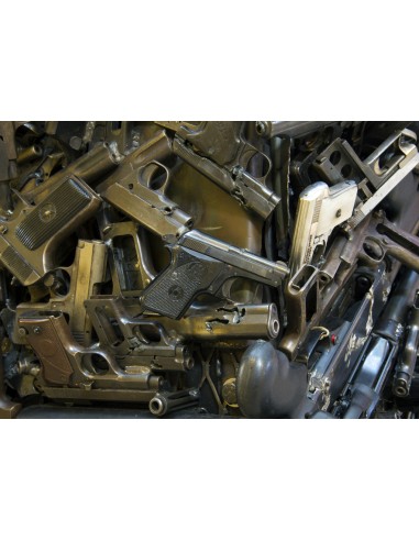 Disattivazione armi corte semiautomatiche e revolver ai fucili da caccia alle ex ordinanze