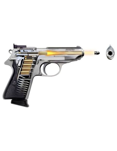 Disattivazione armi corte semiautomatiche e revolver ai fucili da caccia alle ex ordinanze