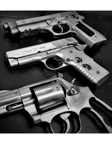 Disattivazione armi corte semiautomatiche e revolver ai fucili da caccia alle ex ordinanze