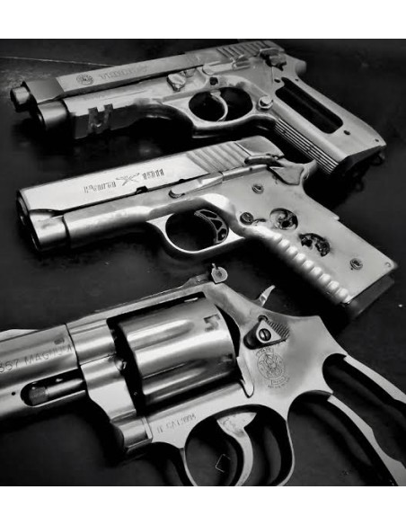 Disattivazione armi corte semiautomatiche e revolver ai fucili da caccia alle ex ordinanze