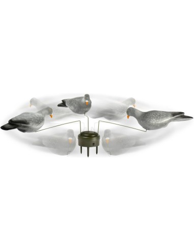 TRIPLE PIGEON LUCKY DUCK EDGE GIOSTRA COLOMBACCI Giostra girevole a terra con tre colombacci flocked