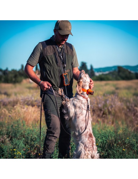 Kit collare per cani Beeper One Lite con telecomando collare Beeper per cani Fino a 2,5 km cane in ferma con vibrazione