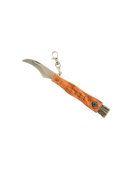 COLTELLO ARMERIA LUGLI PER FUNGHI PIEGHEVOLE CON LAMA E SPAZZOLINO