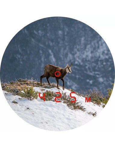 Binocolo Leica Geovid 32 PRO – 8×32 colore nero Google Maps GPS LPT™ (Leica ProTrack)