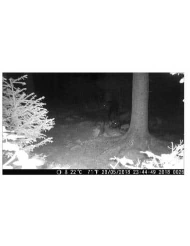 Hikmicro Visore Termico Thunder Pro 1-8X19 3in1 - TE19C MONOCOLO