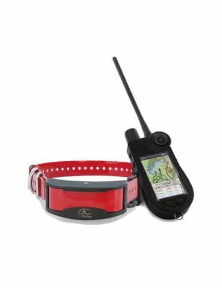 DOGtrace - Collare da dressage D-Control Easy