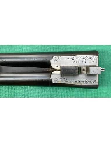 Jules Thonon CAL. 12 Cani Esterni