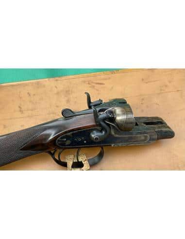 Jules Thonon CAL. 12 Cani Esterni