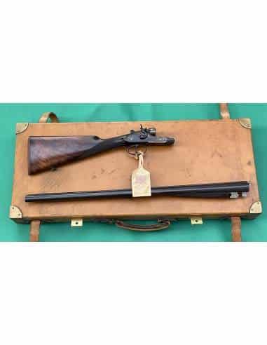 Jules Thonon CAL. 12 Cani Esterni