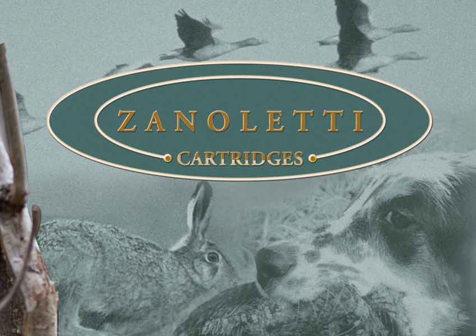 Zanoletti cartucce